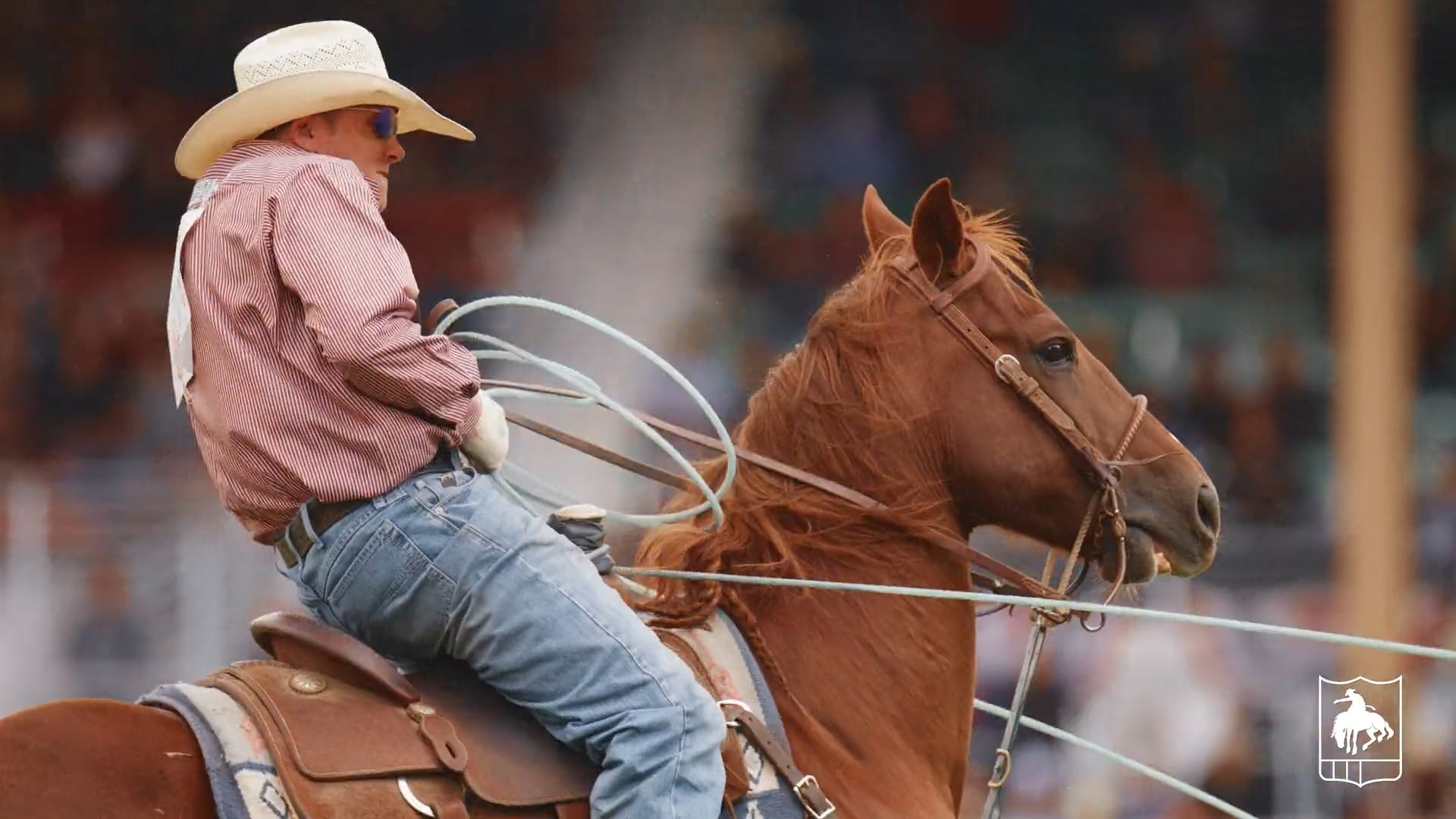 Team Roping | Rodeo 101 on Vimeo