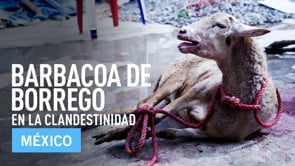 Investigación Barbacoa de Borrego por Igualdad Animal México