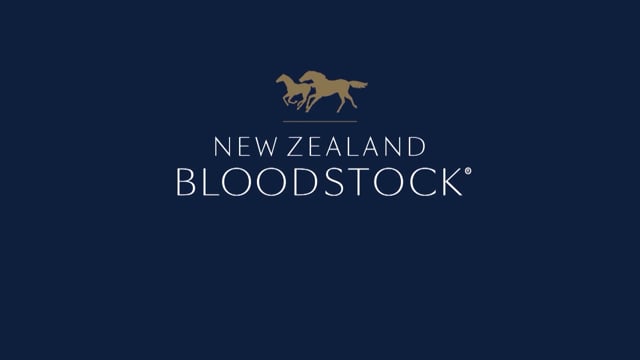 2022 National Weanling Sale | David Ellis