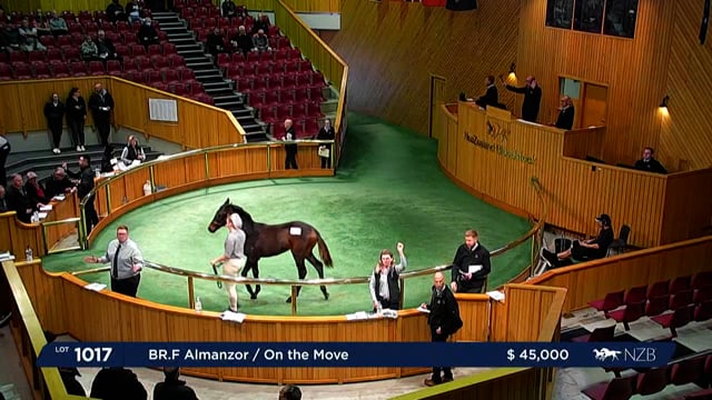 2022 National Weanling Sale - Lot 1017 - Lot 3