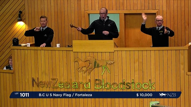 2022 National Weanling Sale - Lot 1011 - Lot 1017
