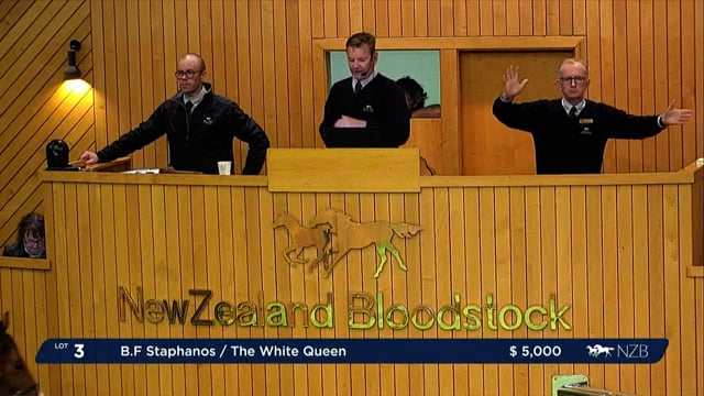 2022 National Weanling Sale - Lot 3 - Lot 9