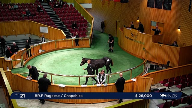 2022 National Weanling Sale - Lot 21 - Lot 28