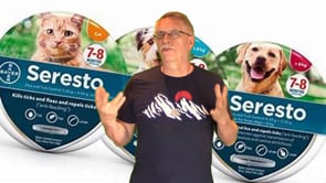 Flea Collar Seresto Under Attack