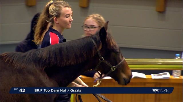 2022 National Weanling Sale - Lot 42 - Lot 52