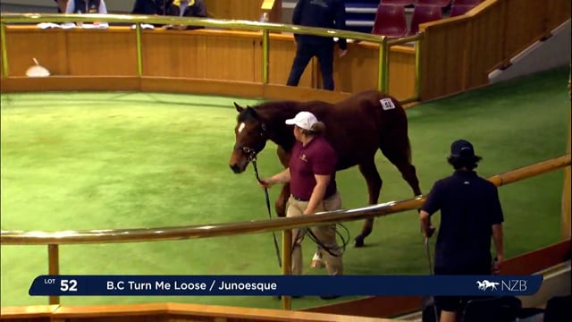 2022 National Weanling Sale - Lot 52 - Lot 60