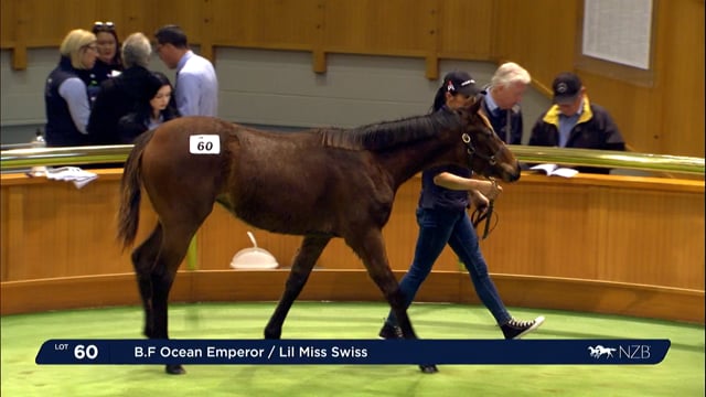 2022 National Weanling Sale - Lot 60 - Lot 67