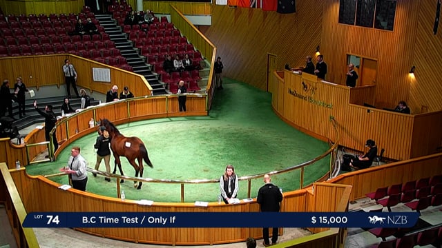 2022 National Weanling Sale - Lot 74 - Lot 82