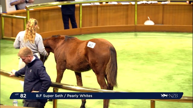 2022 National Weanling Sale - Lot 82 - Lot 90