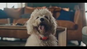 Swiggy - Coco [Director’s Cut].mp4