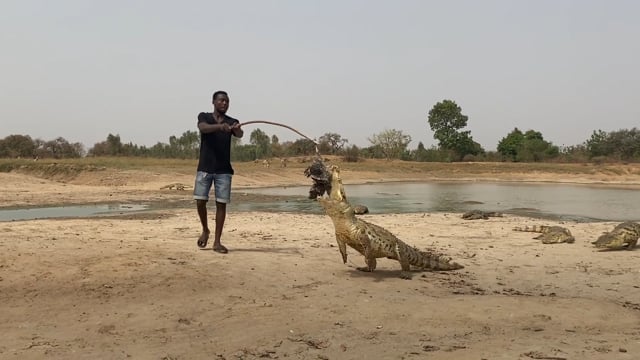 La mare aux crocodiles fanés - Vidéo ePOP