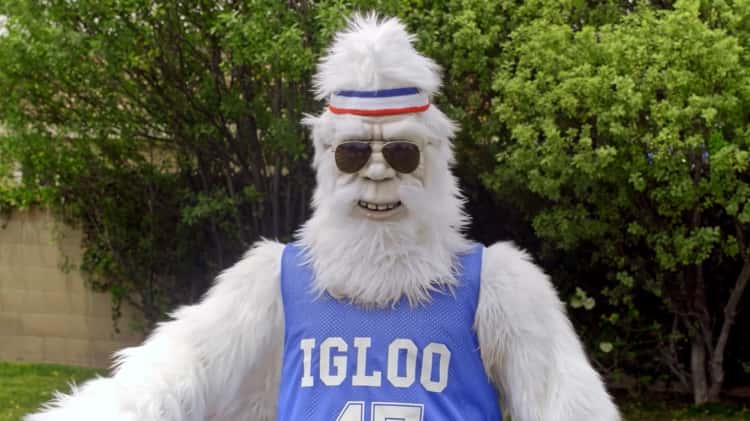 Igloo cheap commercial yeti