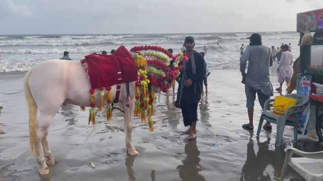 Man with horse at beach