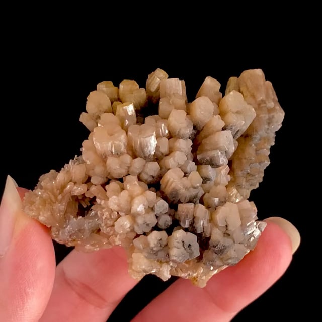 Pyromorphite (excellent historic specimen) (ex Rich Kosnar Collection ...