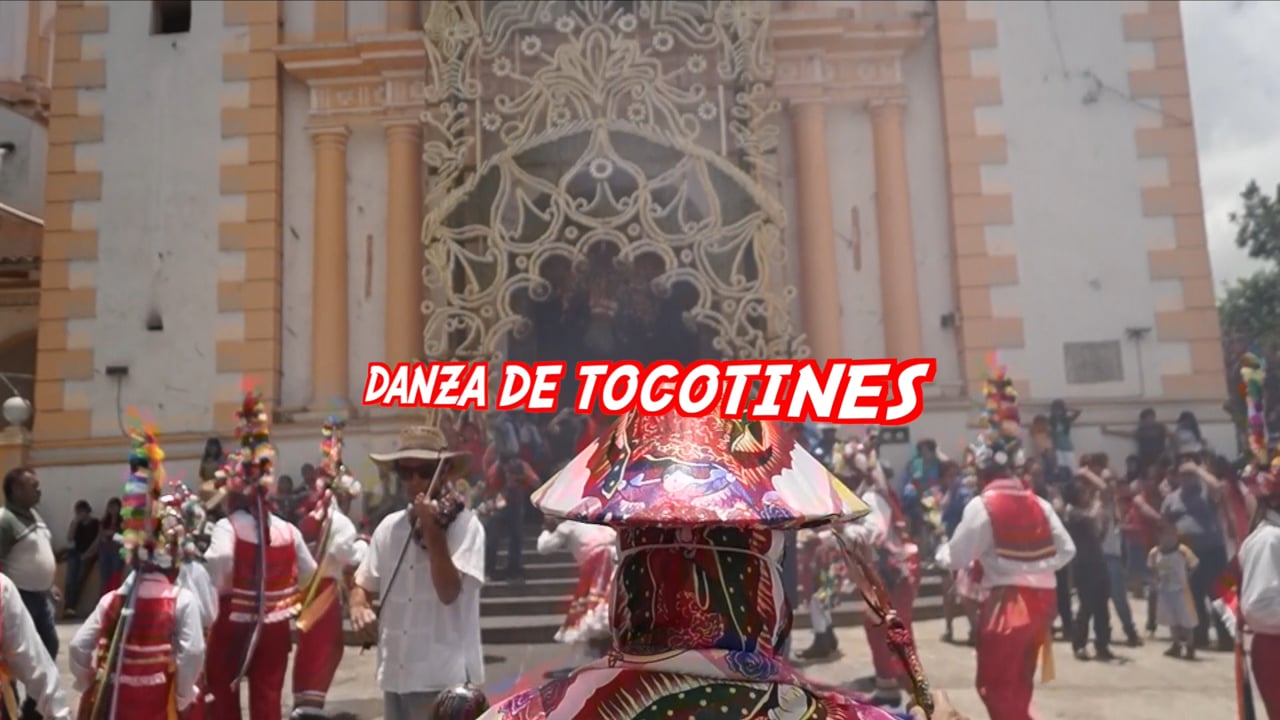 Danza de Tocotines en Xico