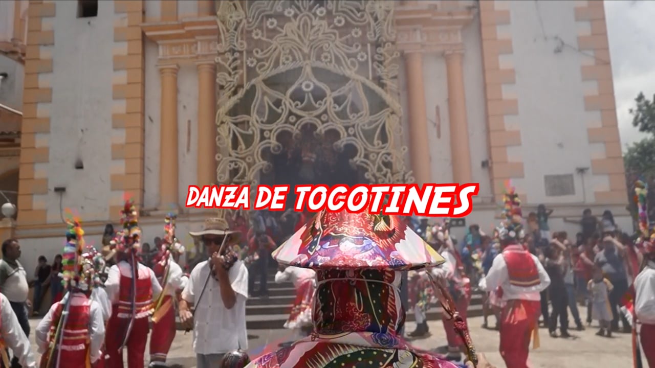 Disfruta de Danza de Tocotines en