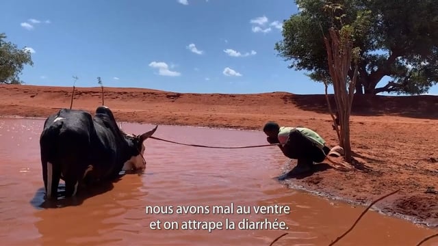 Sihanaky et la disparition des géants - Vidéo ePOP