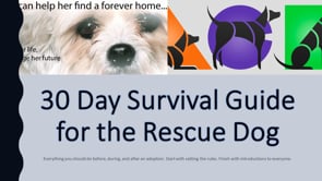30 Day Survival Guide for the Rescue Dog