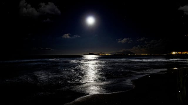 Beach Night Moon Full - Free video on Pixabay