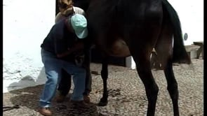 O PRIMEIRO OLHAR 19 - O FERREIRO 2