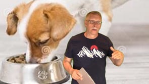 Do you Wash Your Dog's Bowl?