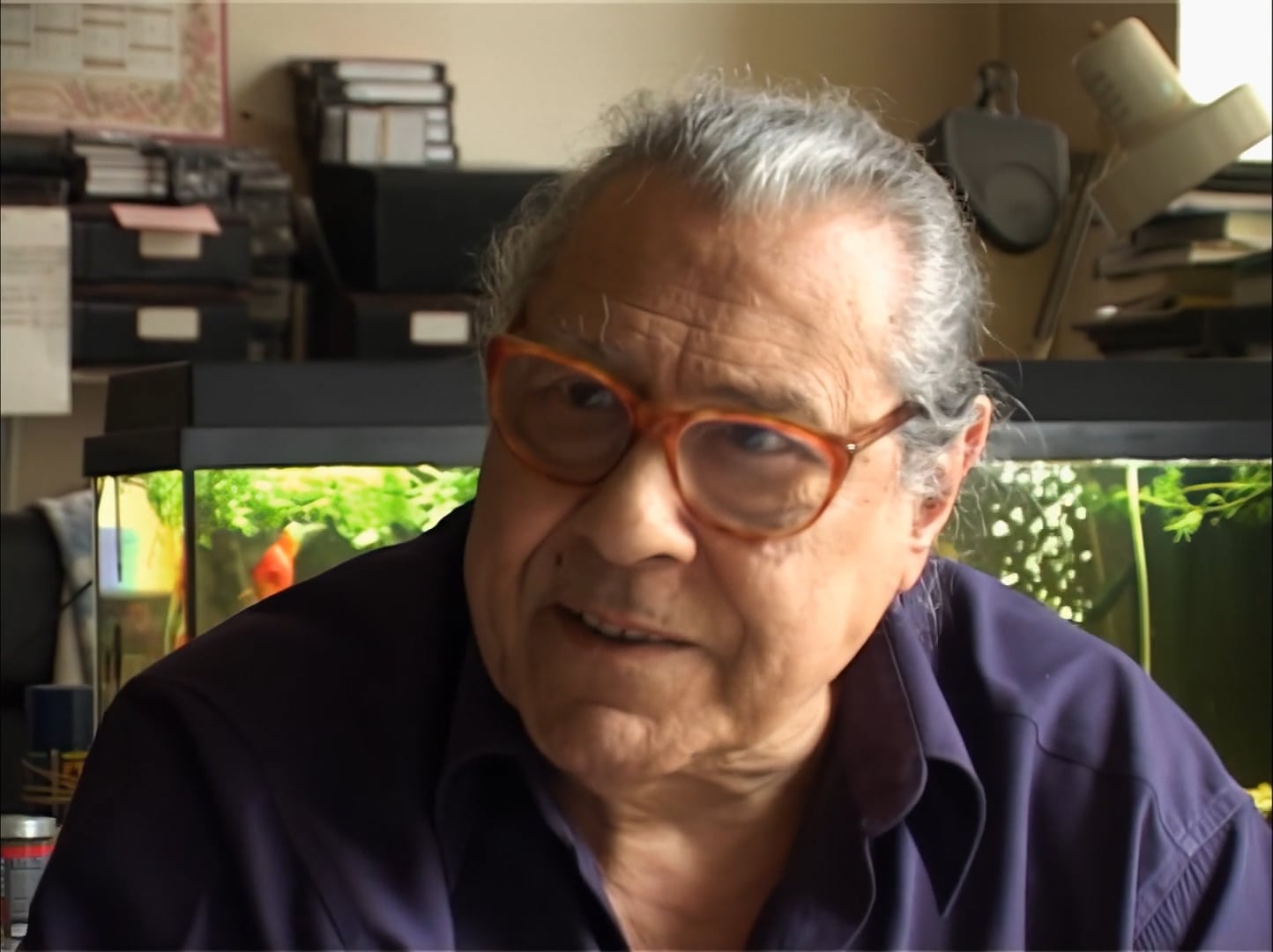 Watch Luis Ansa, l'Art du Chaman Online | Vimeo On Demand on Vimeo