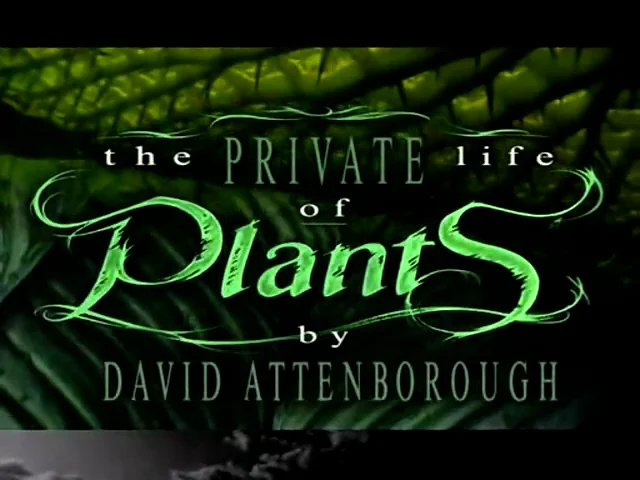 Private Life of Plants 1 - Traveling.mp4 | Videos & Movies on Vimeo