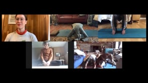 Related Embedded Video Item Thumbnail