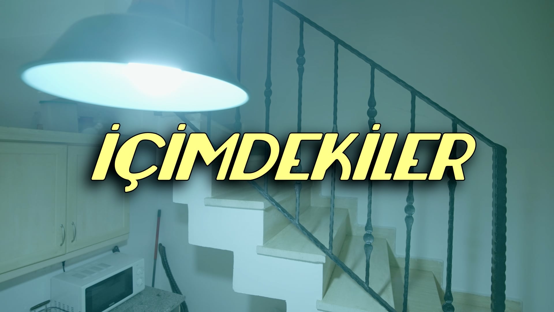 İçimdekiler / Hasan Eflatun Akay