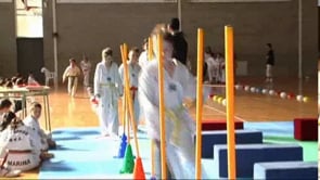 Miniolimpiada Taekwon_do