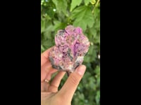 SAL001 (2)