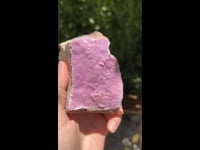 SAL002 (2)