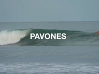 56 BBQ Only Girls Pavones - Junho 2022 - Episódio 2 .mp4