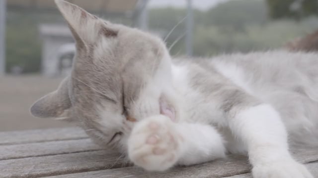 ここが気になるの