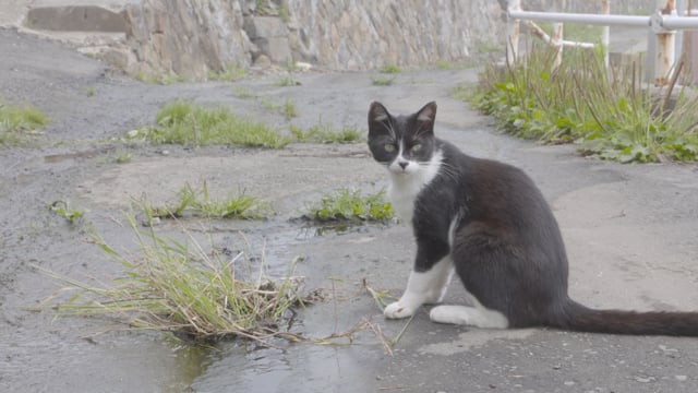 あばよ