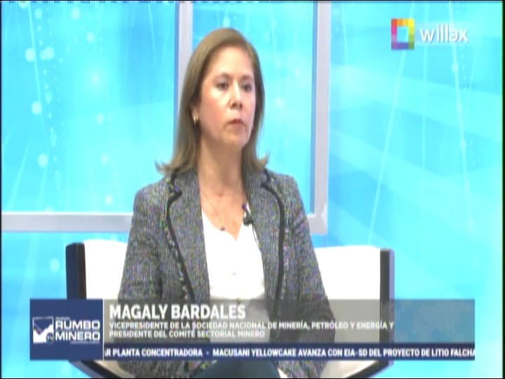 Entrevista a Magaly Bardales en Willax TV