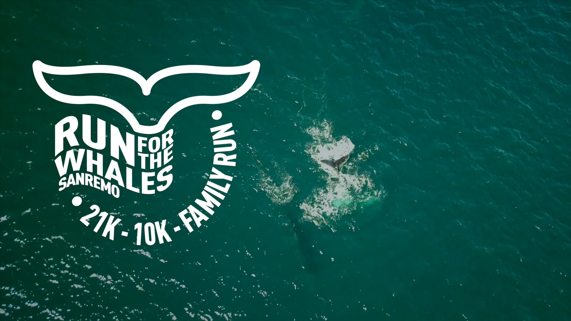 Run for the Whales Sanremo 2022 on Vimeo