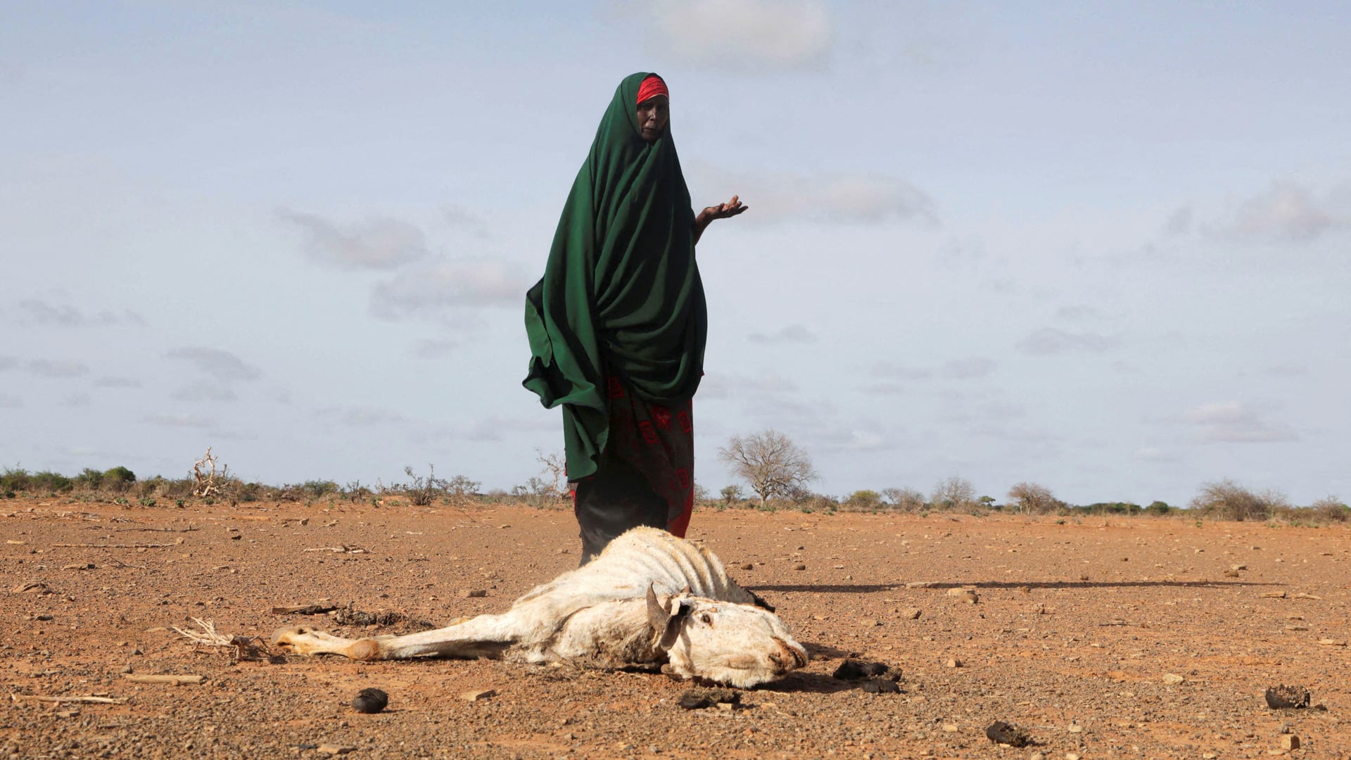 “deito Me E Não Consigo Dormir” Seca E Guerra Na Ucrânia Aumentam A Crise Alimentar Na Somália 