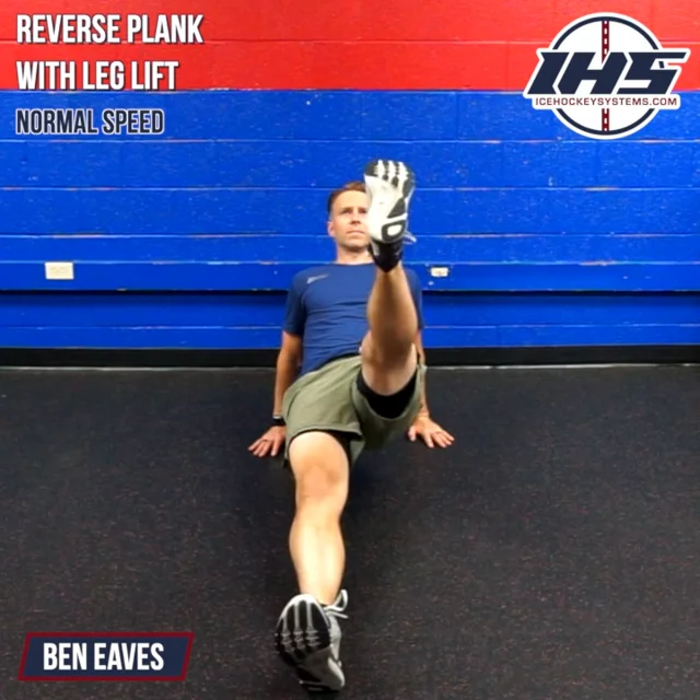 Reverse Plank With Leg Lift