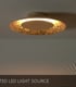 Video Foskal Modern Flush Ceiling Light - Ø 34.5cm- LED - 1x12W 2700K - Brass