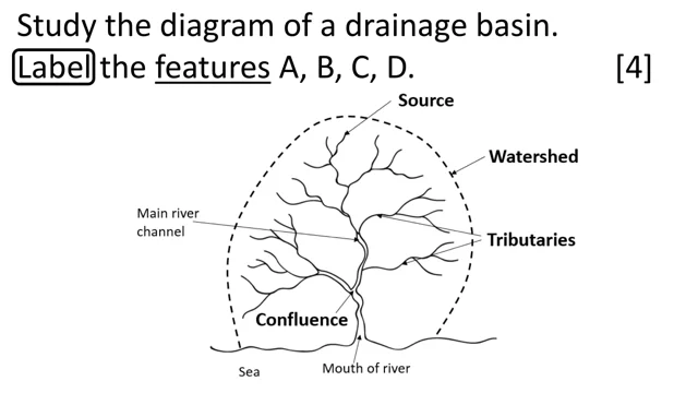 The Drainage Basin