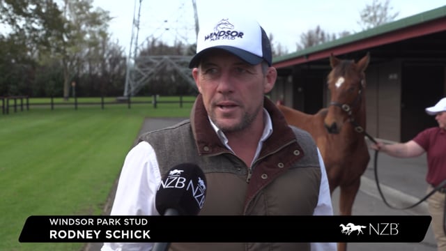 2022 National Weanling Sale | Rodney Schick