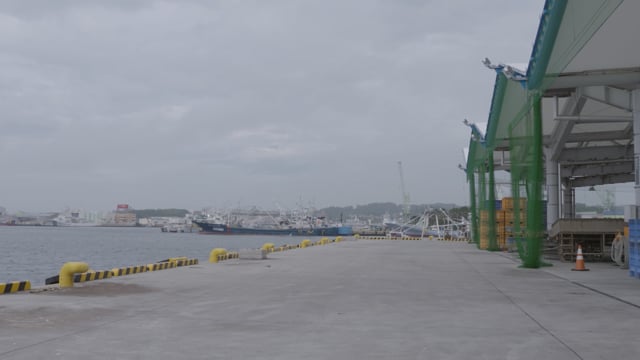 かもめの独壇場
