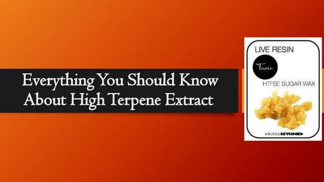 Everything You Should Know About High Terpene Extract.mp4