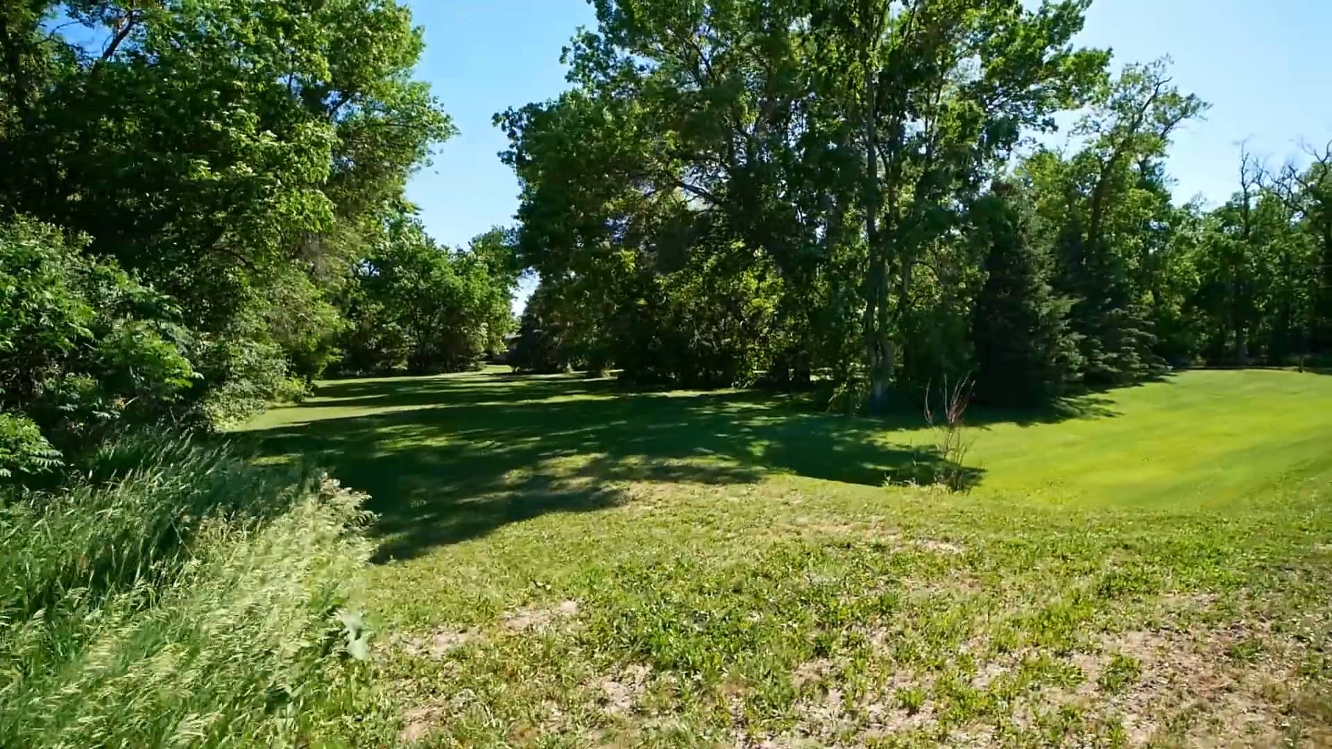 Cedar Mills 9 MLS.mp4 on Vimeo