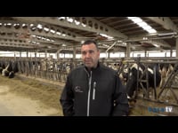 "Con este sistema de ventilación no notamos bajadas en la producción ni en la fertilidad durante los períodos de calor"