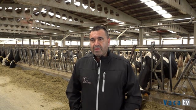 "Con este sistema de ventilación no notamos bajadas en la producción ni en la fertilidad durante los períodos de calor"