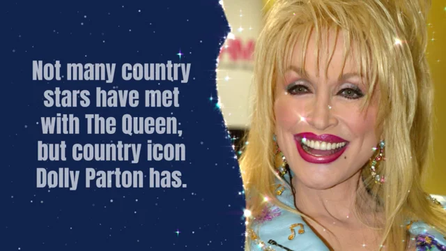 Dolly Parton's Boobs Are Historic — The Booby Pillow