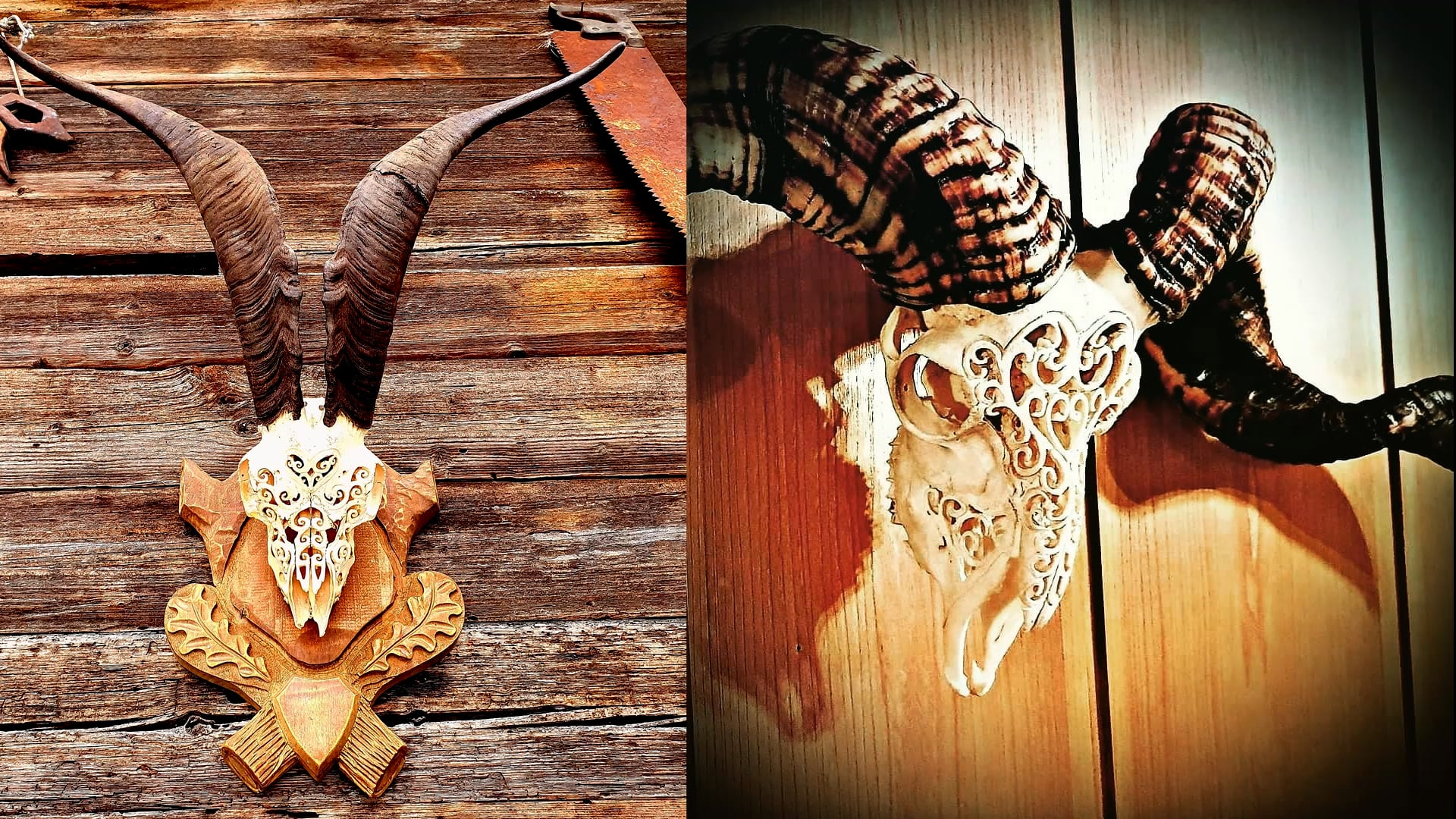 sculpteur suisse passionné sur crânes d'animaux Raphael Rosset-Rosskull