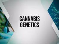 The Science Of Cannabis Genetics